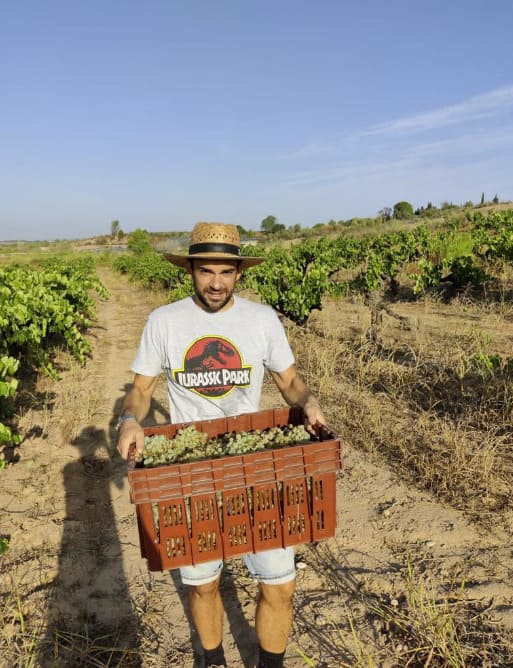 Productor de vino natural en La Alacena Málaga